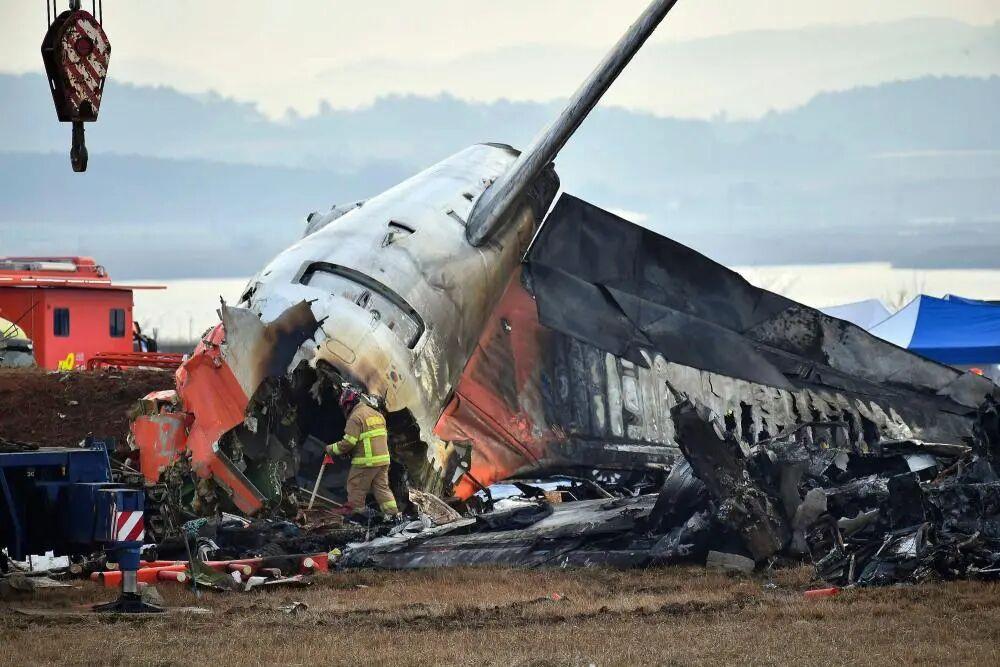谁能想到，韩国那场造成179人遇难的空难，都过去一年多了，遇难者的遗骸居然连个像