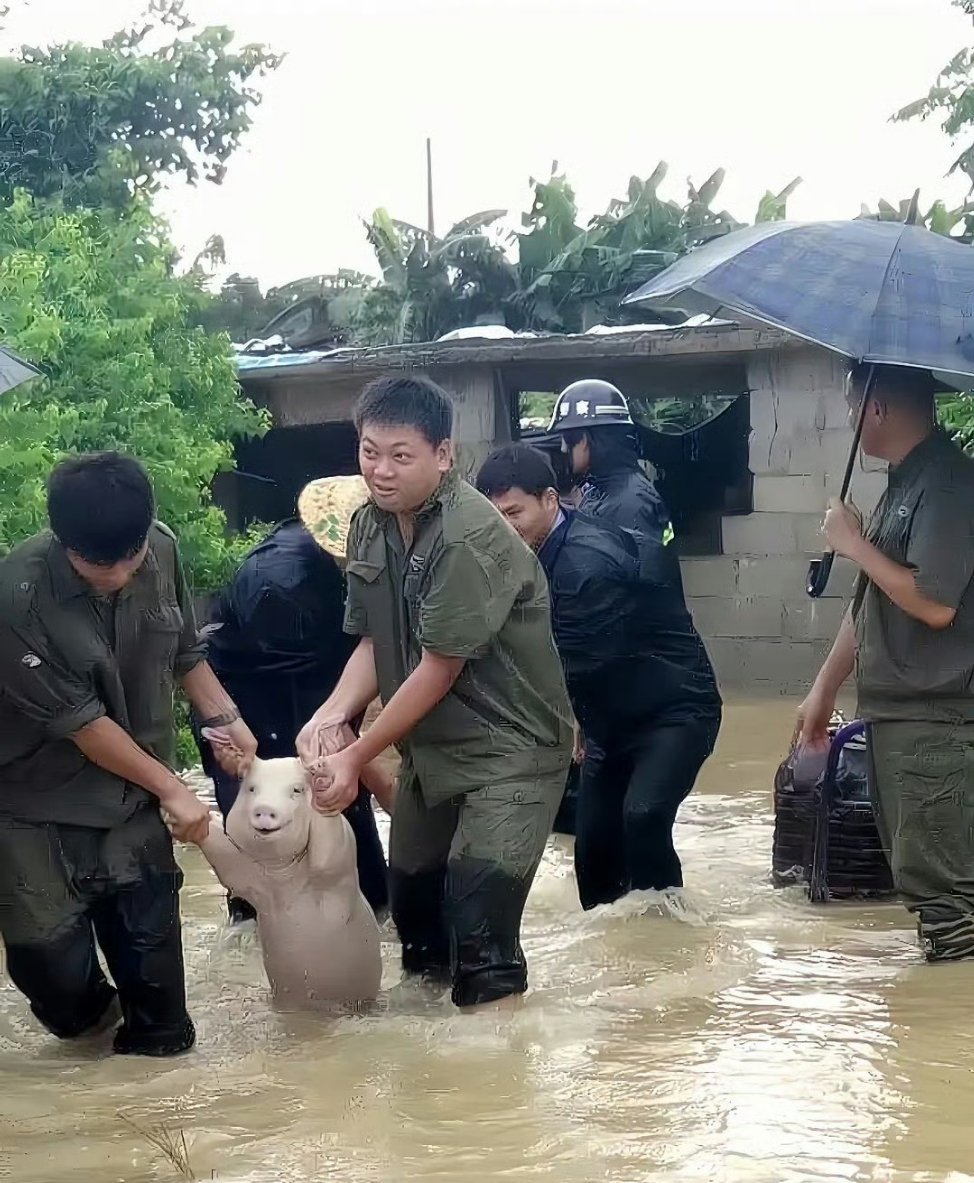 “海盗船上所有人统统给我行注目礼”我，一个自以为胆子很大的女子。 那是几年前，人