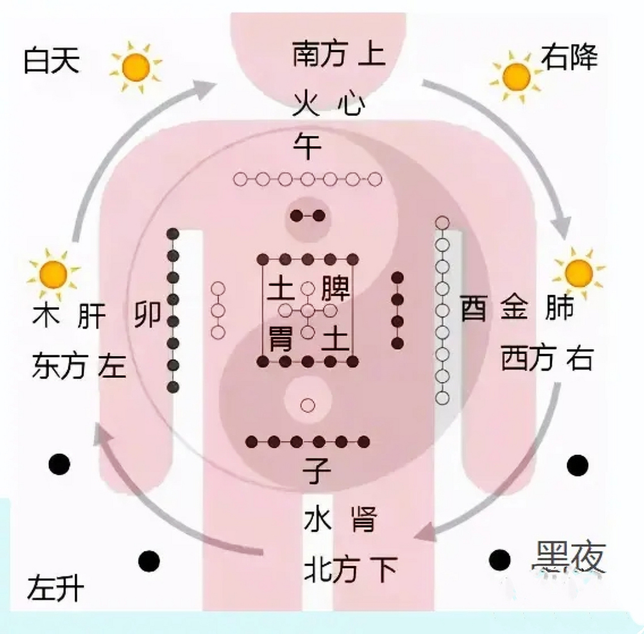 有形的脏器互相独立，无形的脏气浑然一体。中医把人看成一个整体，一个人肾虚了，不光