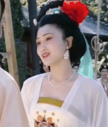 林芳兵和高洁都主演过“杨贵妃”这个角色，两人都非常漂亮，林芳兵属于那种恬静，与世