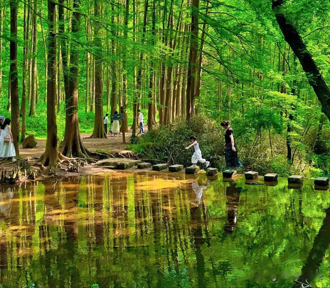 人生很苦,苦在哪里?欲望无底壑，贪求缚此生，人间大半烦恼，皆由心起。

人生一世