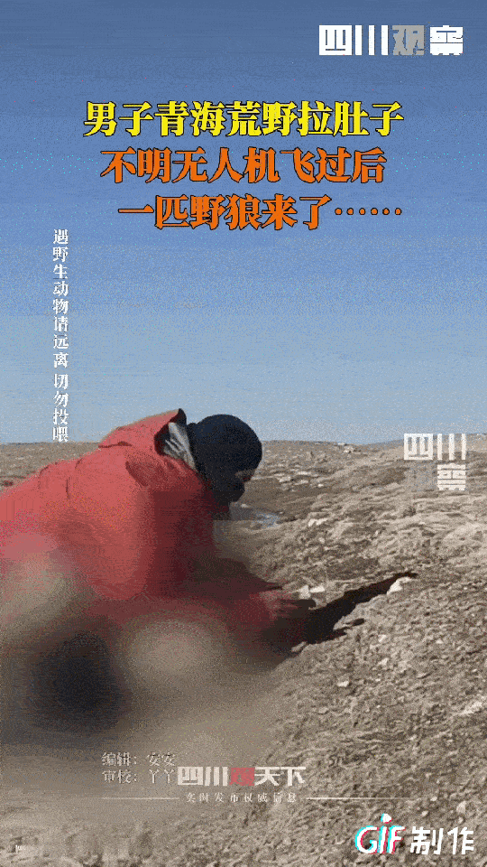 “惊不惊喜！意不意外！”青海玉珠峰，通过荒野无人区时，男子闹肚子，没办法只能就地