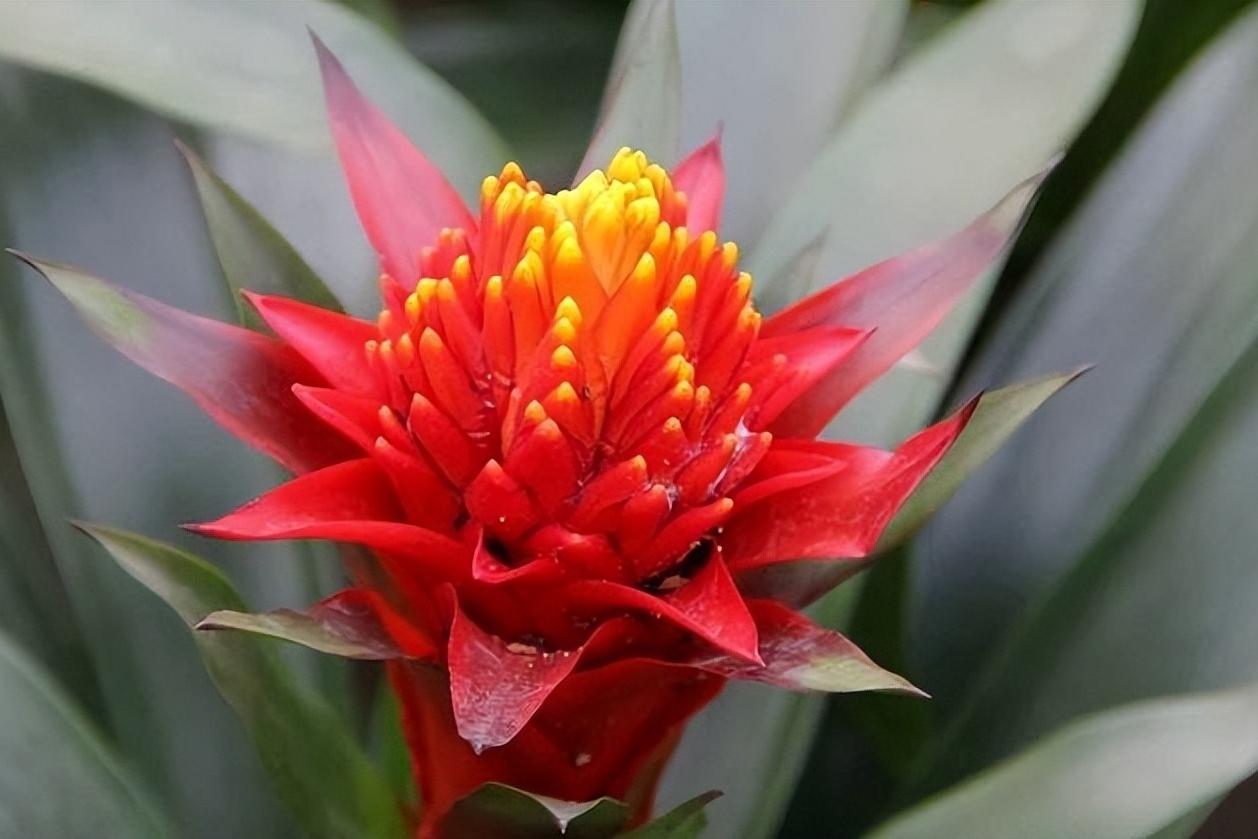 广州一位穿着拖鞋，身家过亿的老板，车库里最贵的也不是新车，而是一辆漆面斑驳的老旧