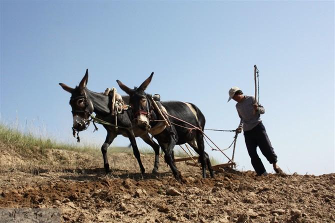 我们怎么能看不起农民呢？我们生于斯长于斯，我们应当对农民满怀敬重才是。农民可是我