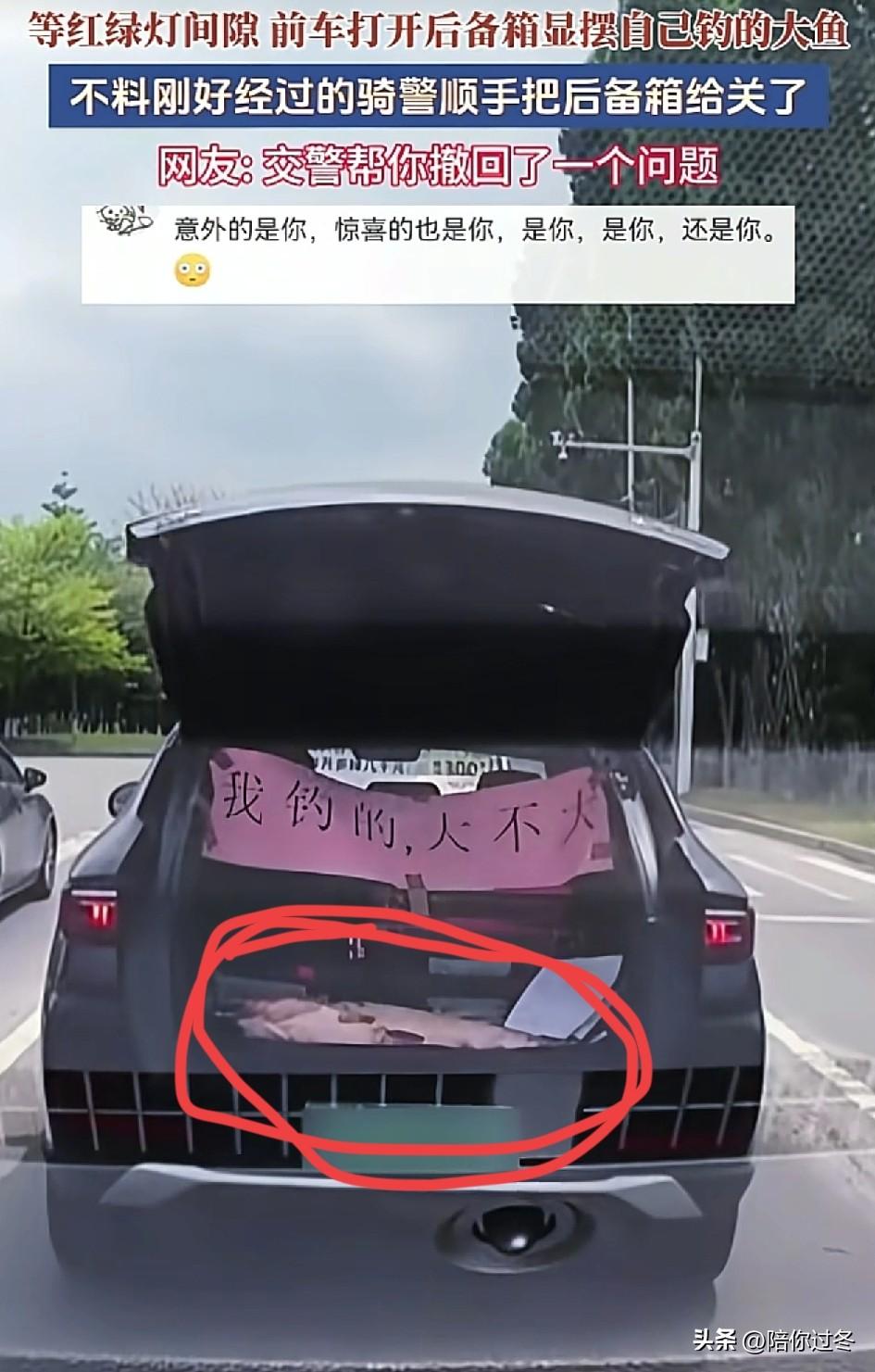 “我钓的鱼大不大？”交警：看我怕不怕！[捂脸]
央视新闻都转发了，男子钓大鱼炫耀