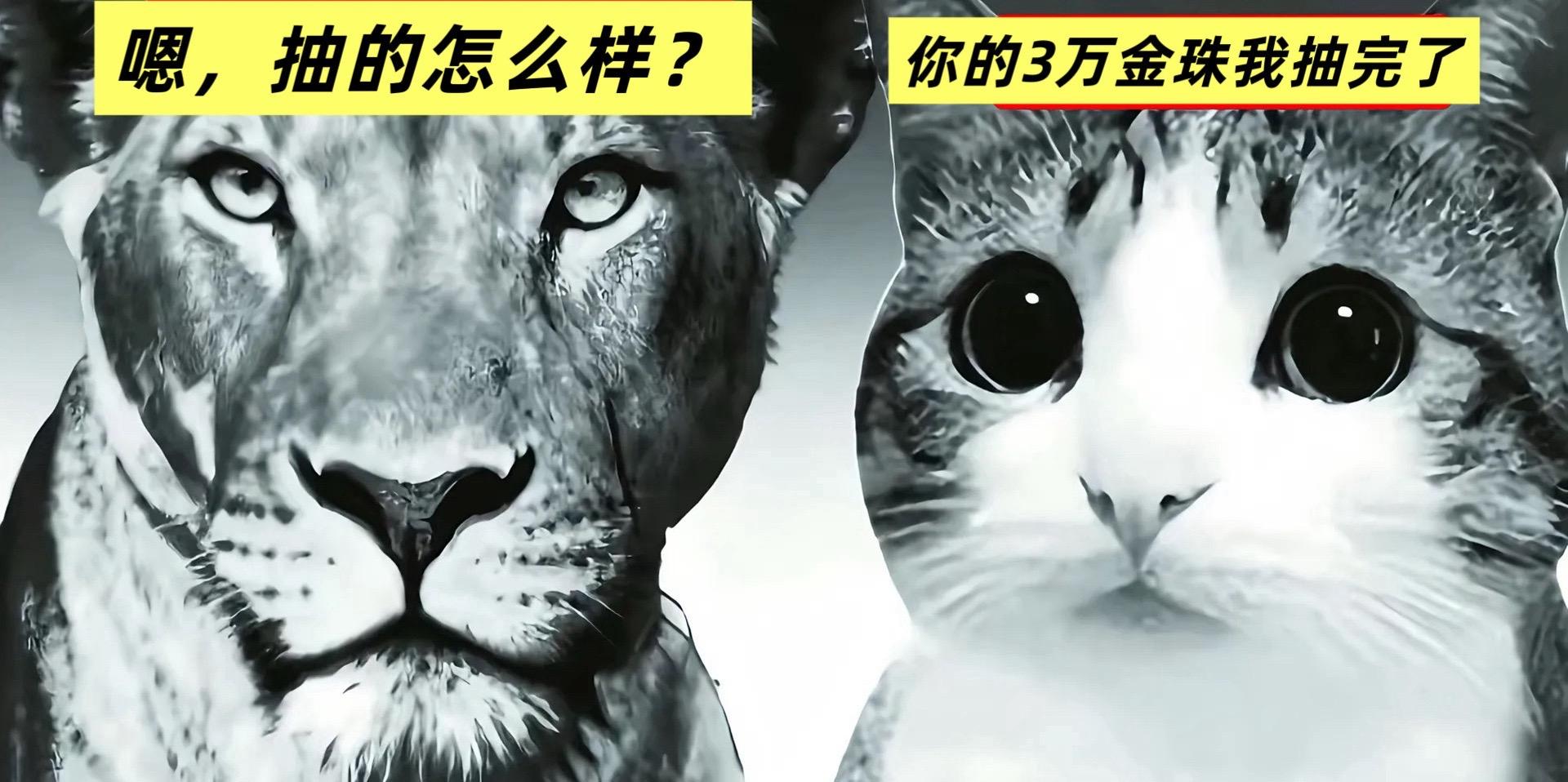 宝，你这逆天的抽卡运气，我该怎么夸你？