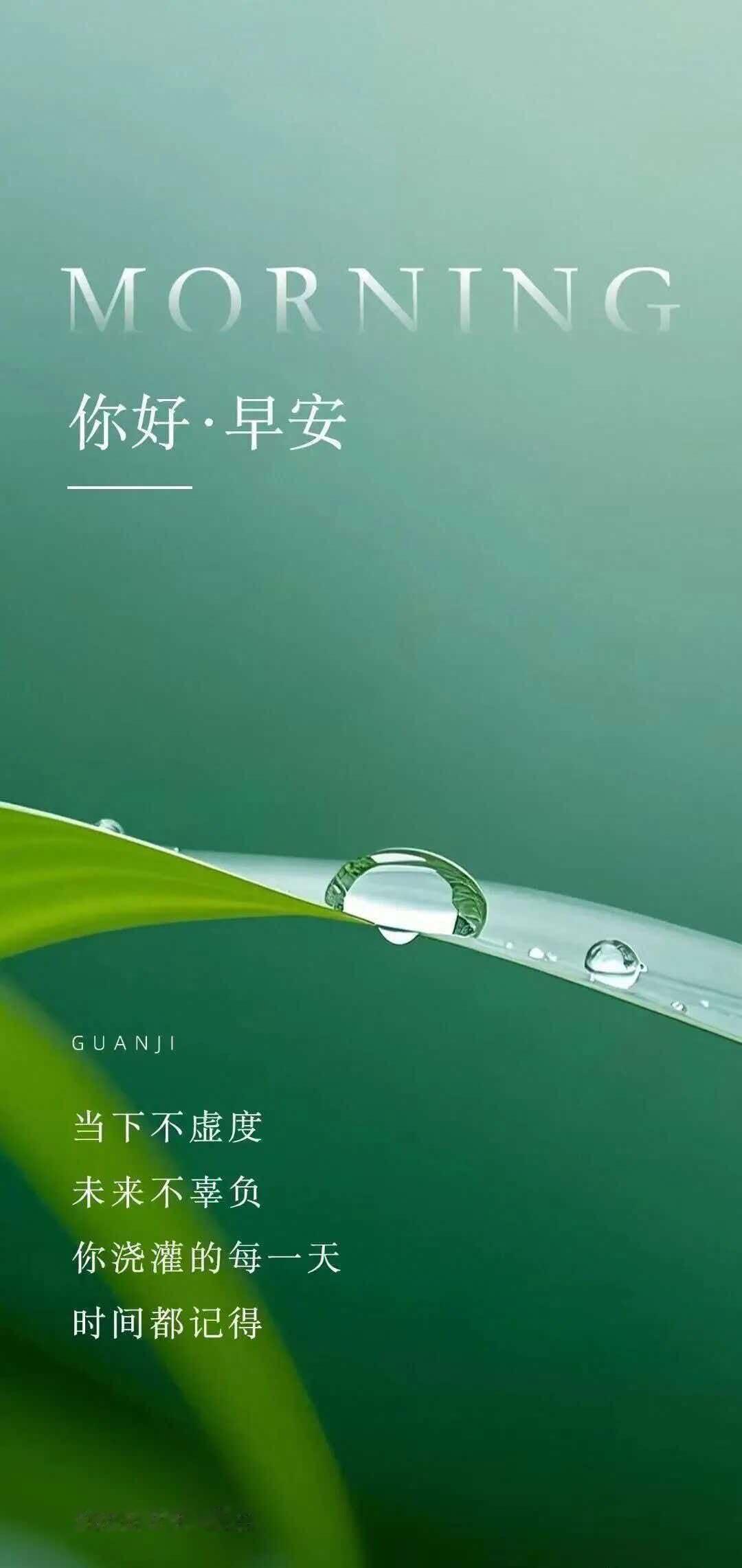 分享一张最近随手拍的照片秋光浅浅，岁月悠悠，最珍贵的祝福，往往朴素无言。生活纵然
