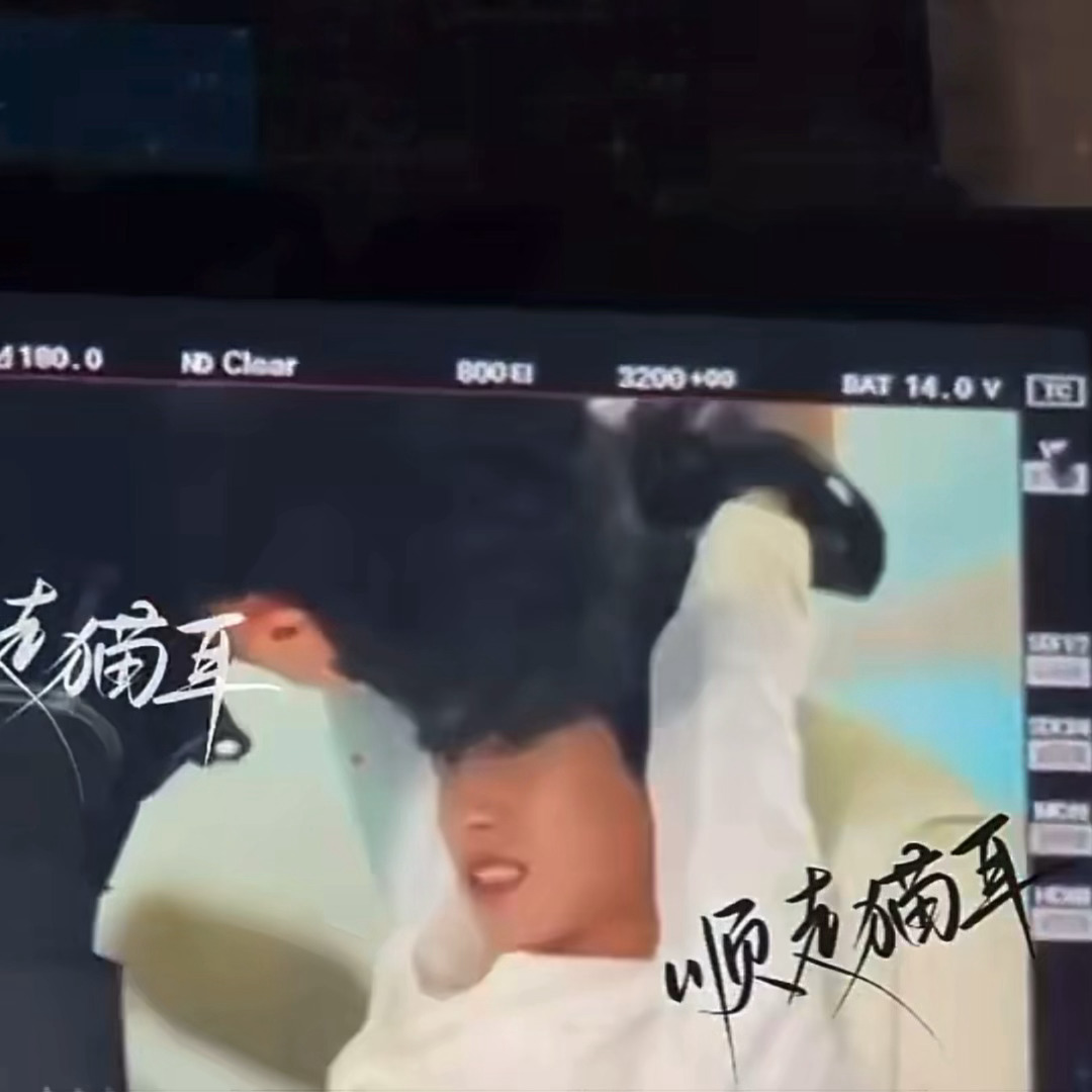 被吓到也要装凶呲牙的猫🐱 