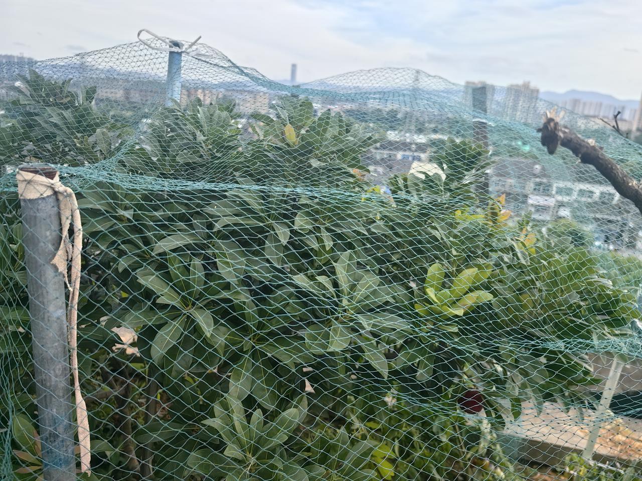 那些半导体公司的股价，真是逆天了，真是见鬼了，一地鸡毛，未来。
半导体市场分析 