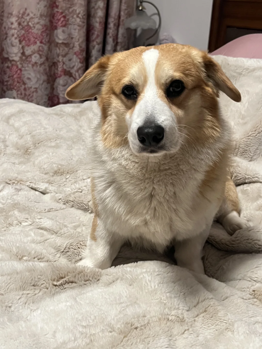 睡醒了但是没完全醒