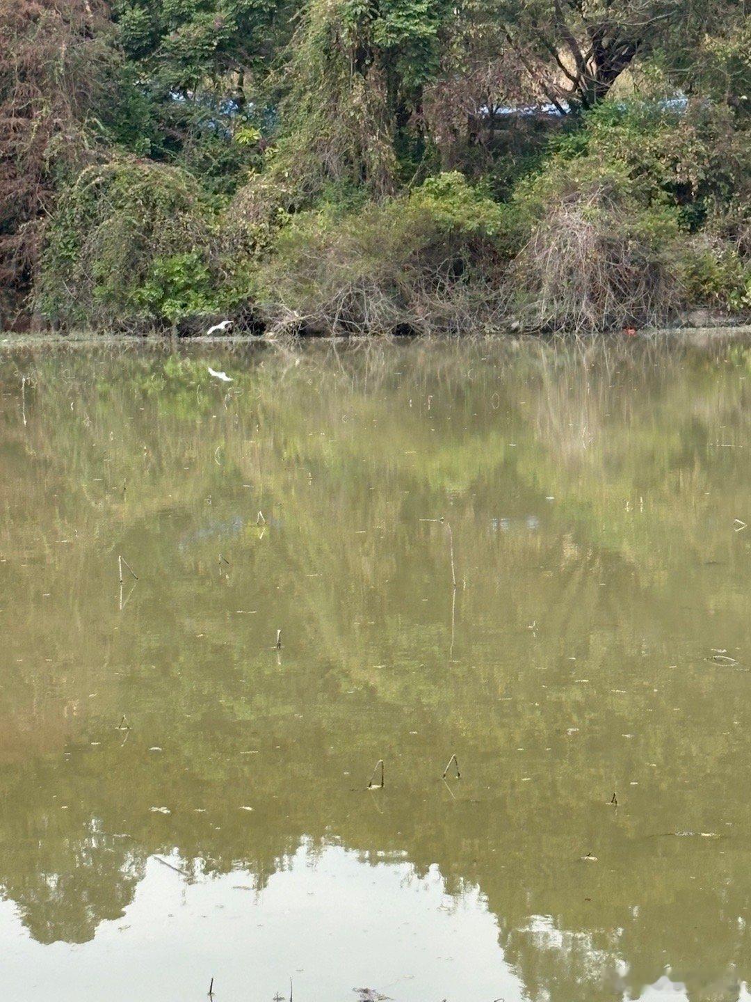我们来自五湖四海，为了一个共同的发展目标！🎯 