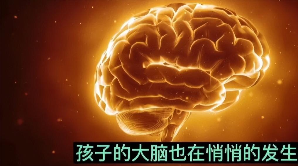 出生月份影响智商？哈佛研究：“聪明月”出生的孩子，智商更高
孩子出生的月份与智商