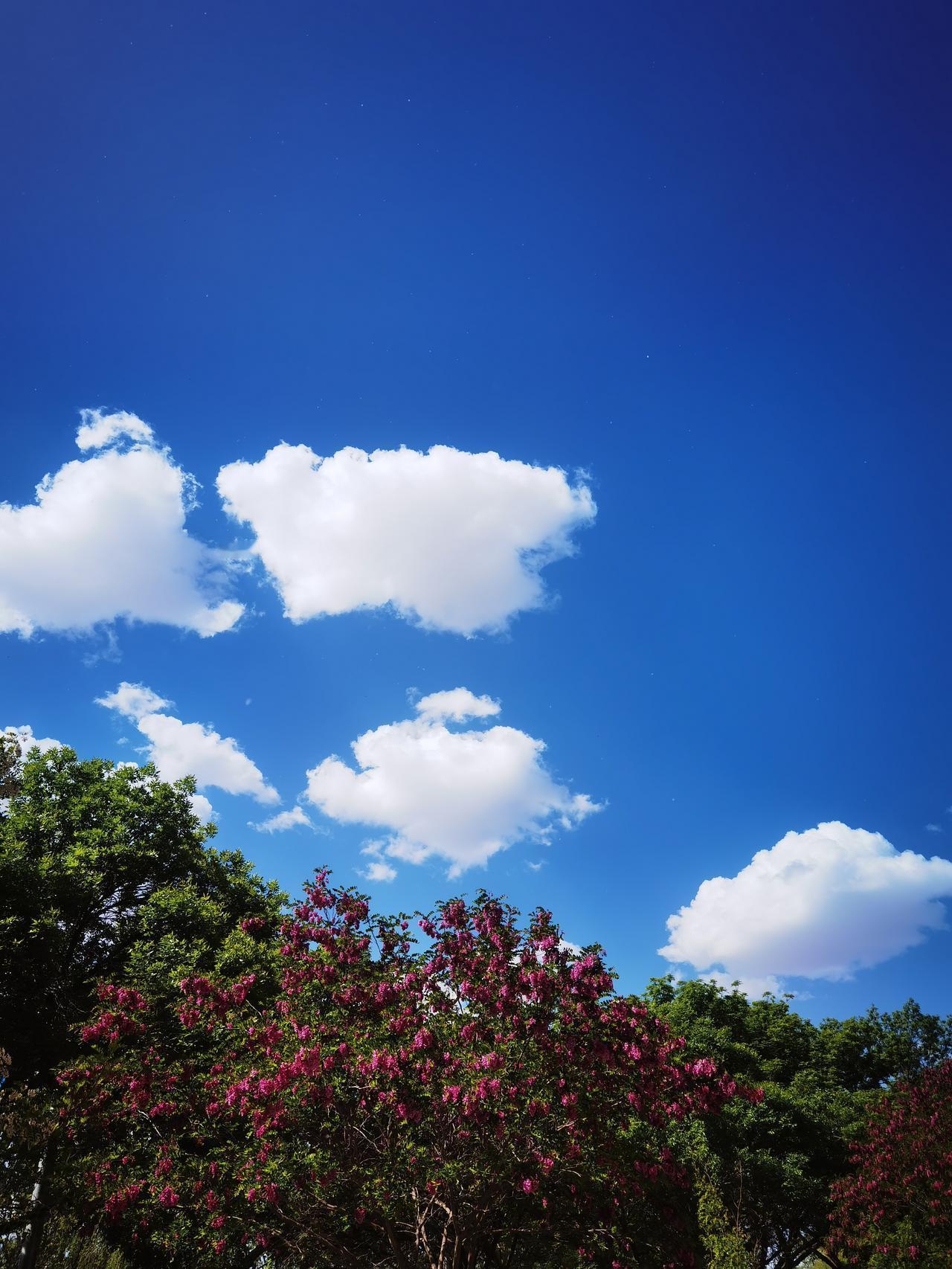 自然之道
勃勃生机
人与自然
互相缠斗
历经万劫
没有输赢
互相尊重
前景美好