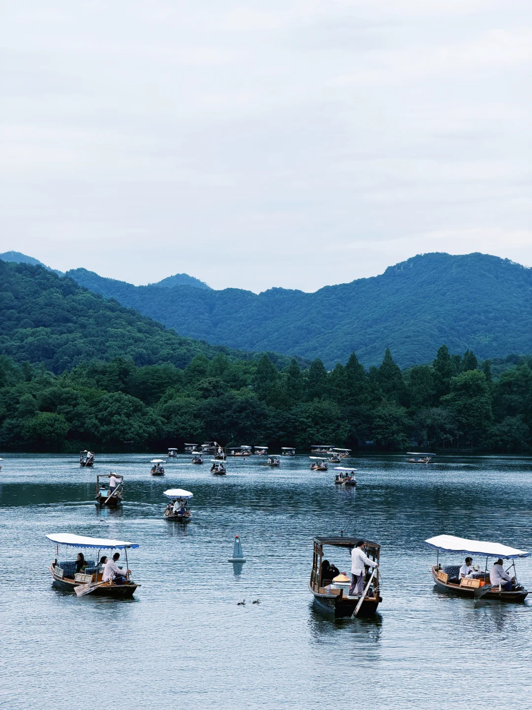 杭人！还是美的太权威