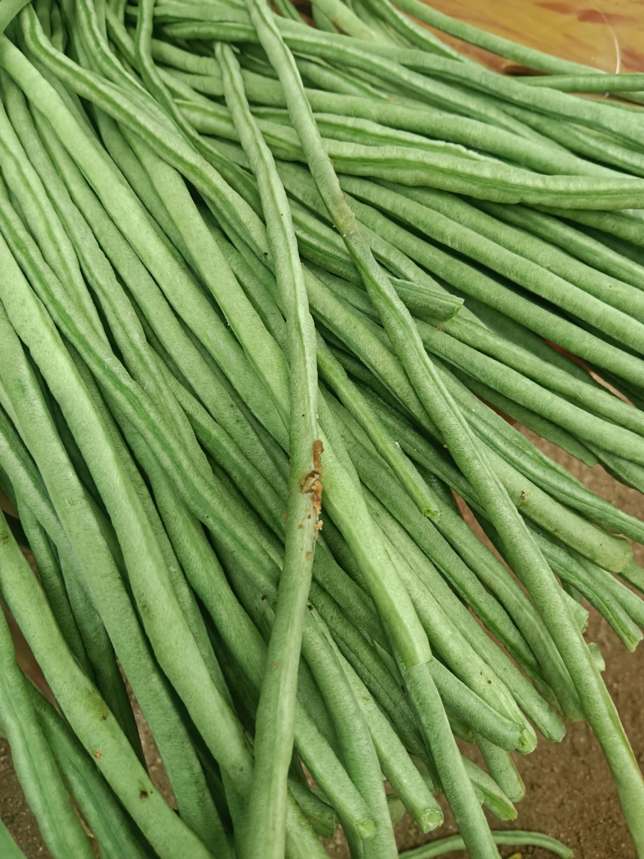 没打农药的长豆虫子都出来了，我宁愿吃有虫子的蔬菜，也不吃超市里打过农药流光水滑的