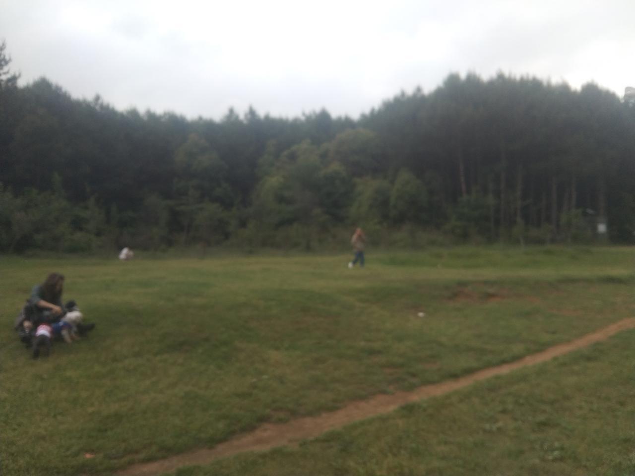 特朗普:伊朗必须把600公斤浓宿铀交给美国
拉夫罗夫:俄罗斯可以帮助伊朗提纯浓缩