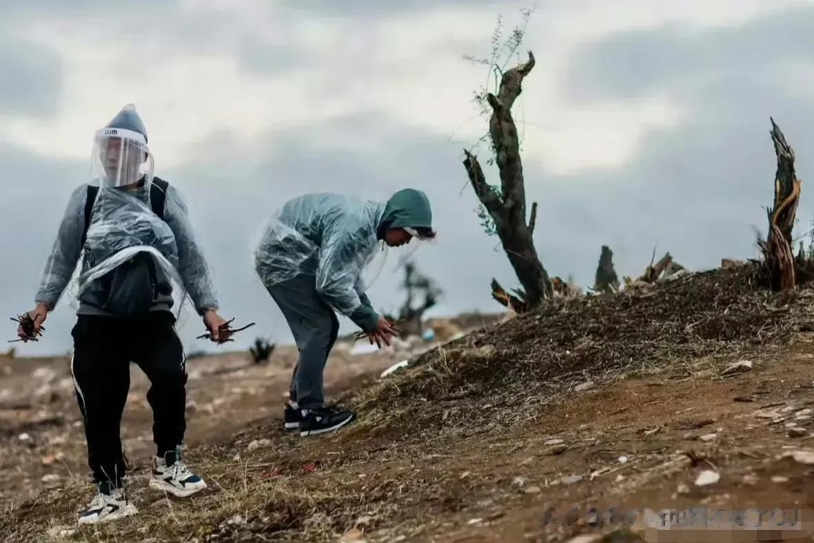 美墨边境一处没隔离墙的地方，
据说是一群润人上演的一幕“荒野求生”荒诞场面，
由
