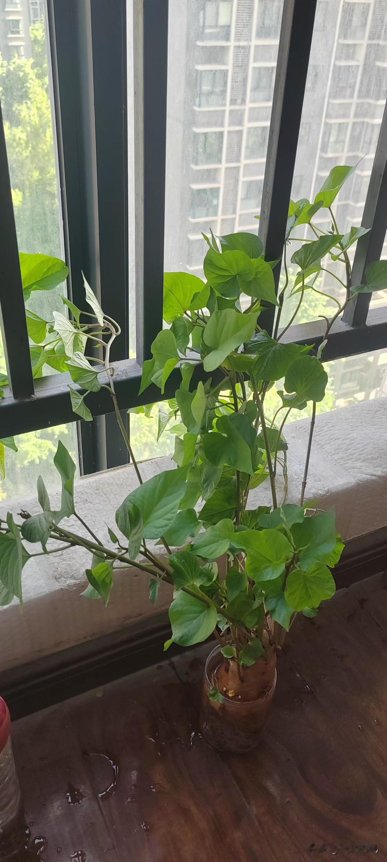 难的时候，告诉自己坚持下去；低谷的时候，为自己喊一声加油！人的一生，本就是起起伏