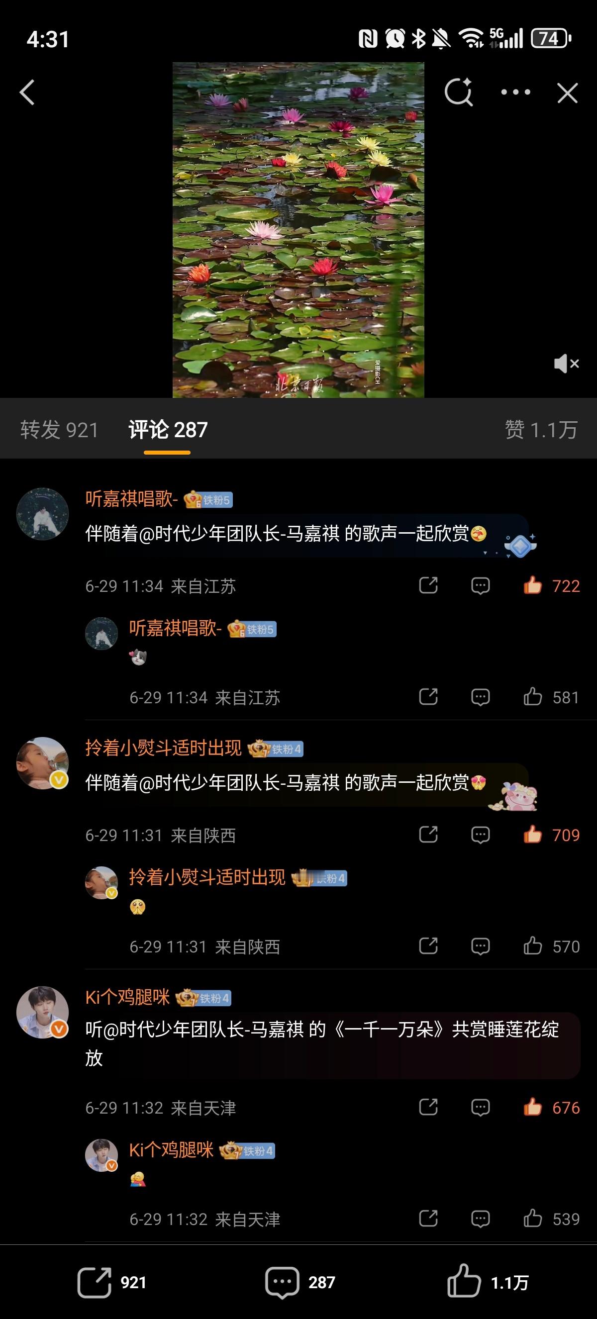 ✔️🈳网页链接  专栏 · 🈳评组