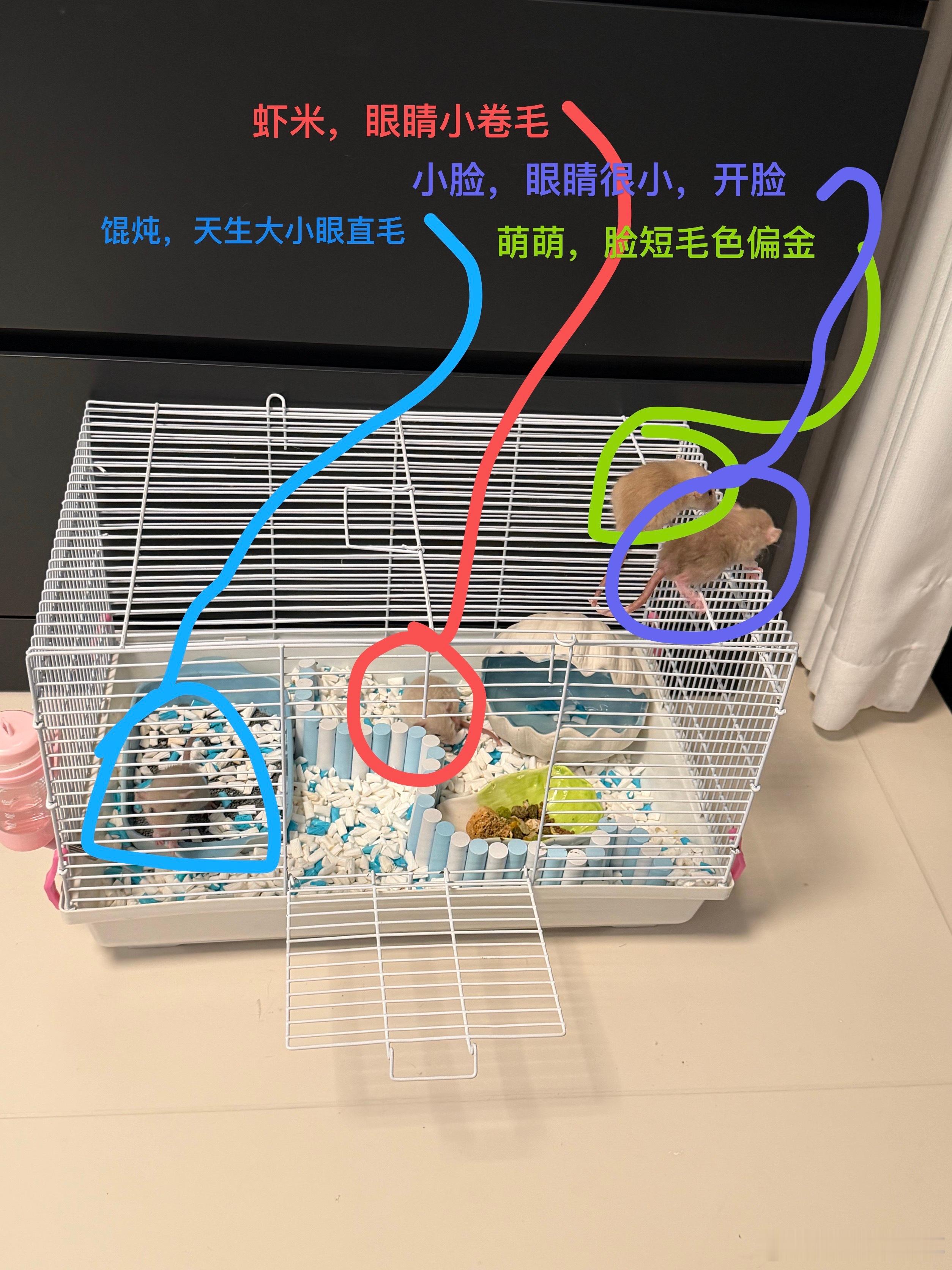 辨认教程 ​​​