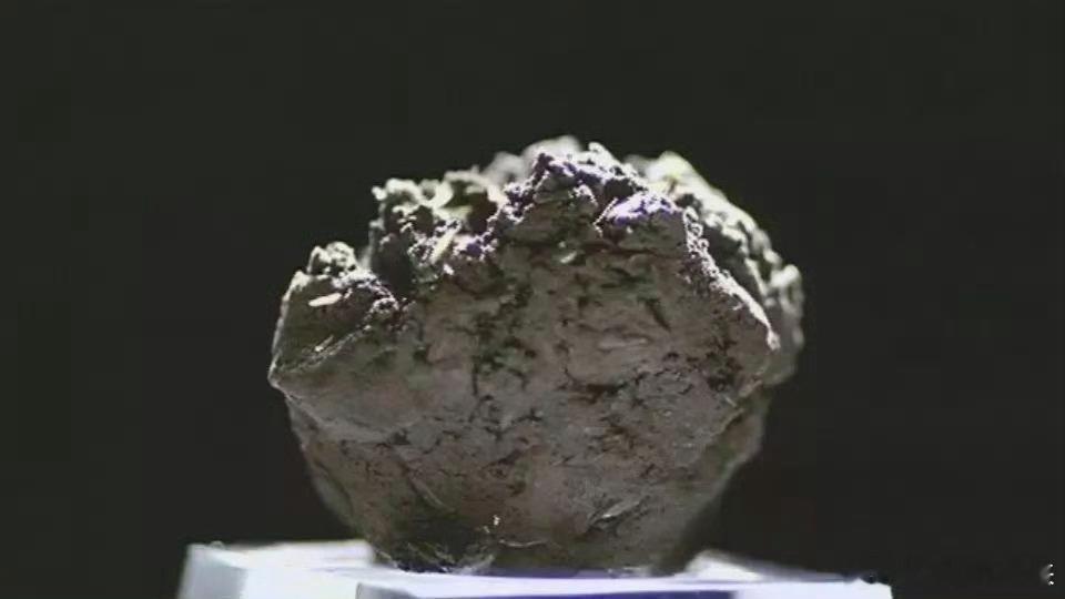 国博唯一的活文物竟然是块泥 中华文化实在是太神奇了，这样的文物里竟然有着如此多的