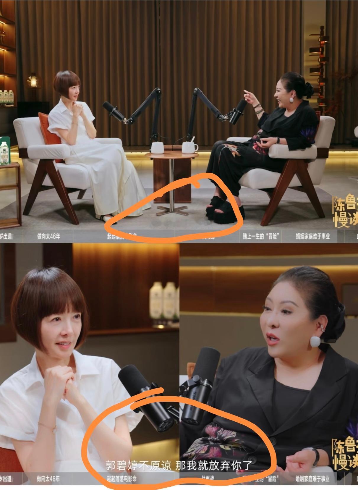 陈岚做客《鲁豫有约》的那期节目播出后，她在镜头前当众吐槽儿子向佐的片段，很快就在