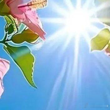 🍑 ʜᴀ͟ᴘ͟ᴘ͟ʏ ᴇᴠᴇʀʏᴅᴀʏ̆̈ ♥我的生命是从睁开眼睛爱上你的笑容