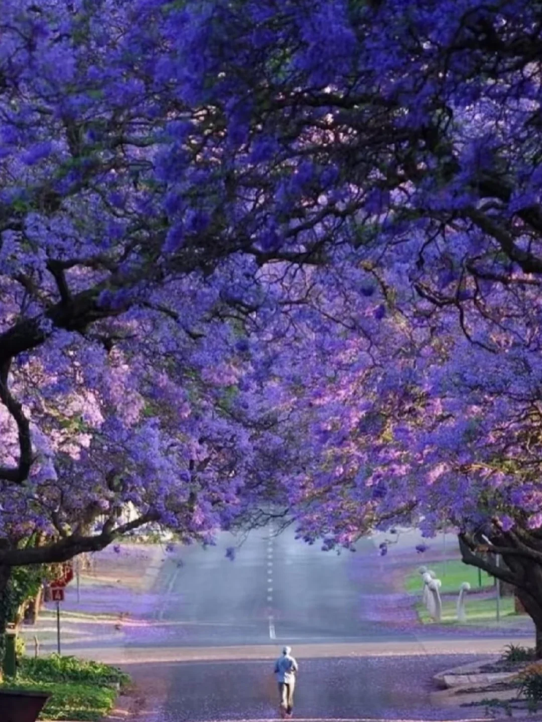 哇哦～上海这些免费公共花园也太会了吧！