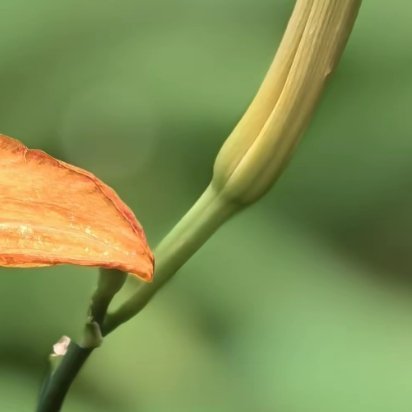 少攀谈，多沉潜，清醒而独立，能让你精致的，是知识、努力和爱 