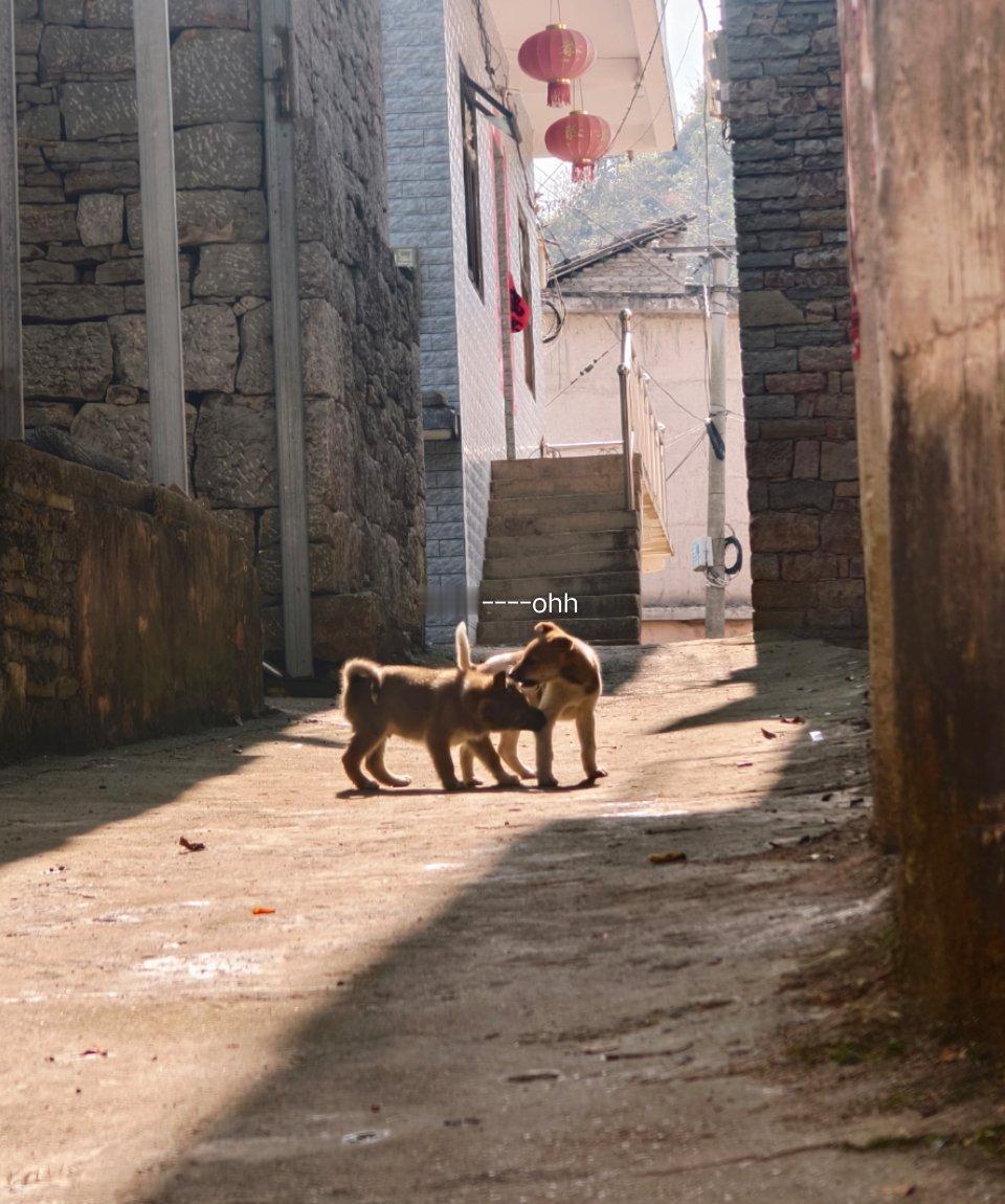 25年的最后一天 希望是从今以后最后一次进医院 