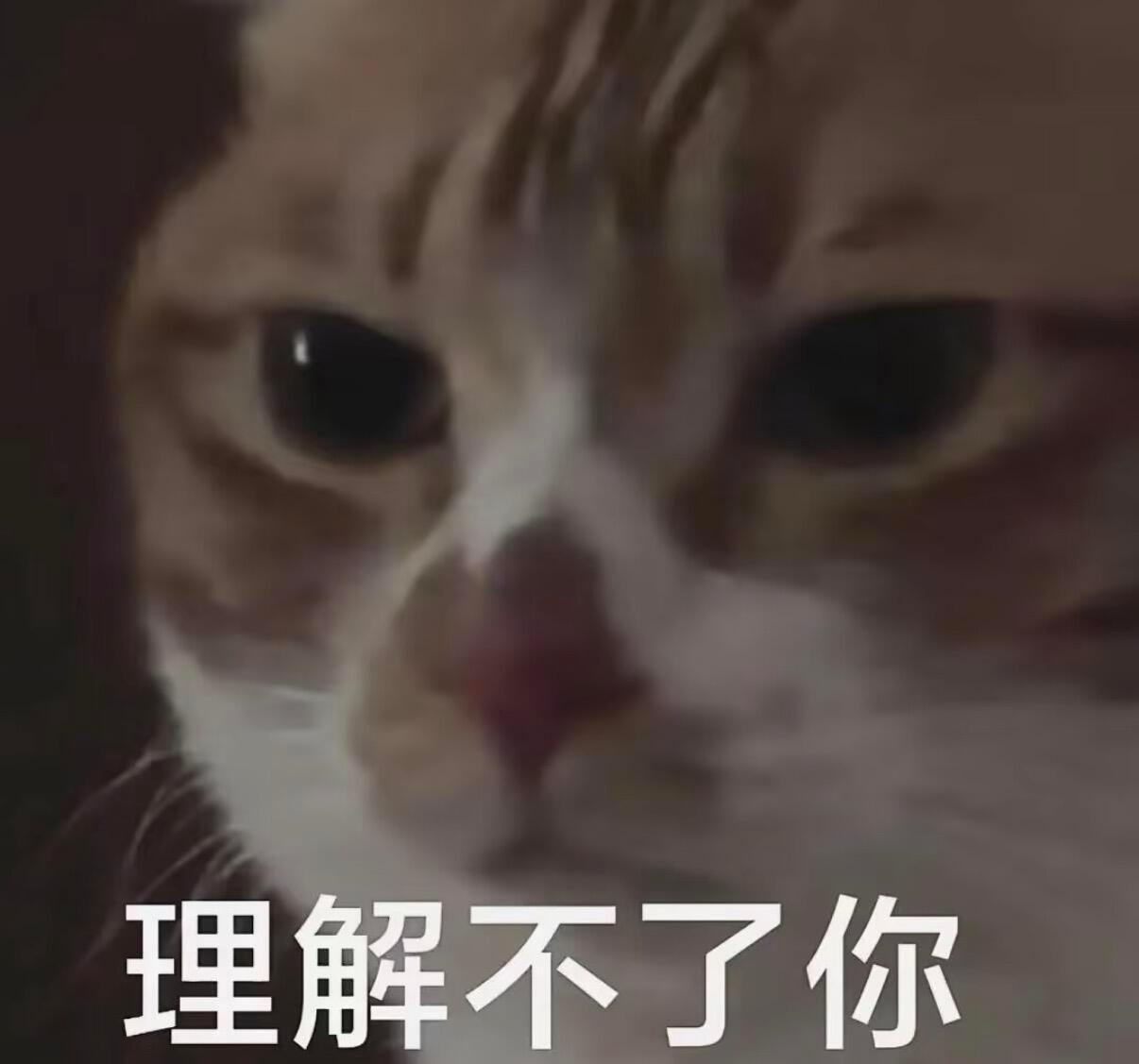 搞笑表情包分享 ｜实用表情包 ｜表情包分享 ｜发疯表情包 ｜聊天表情包 ｜表情包