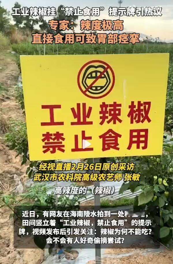 还有“工业辣椒”这种东西啊，看了一下介绍，它并不是有毒有害，而是不适宜食用，因为