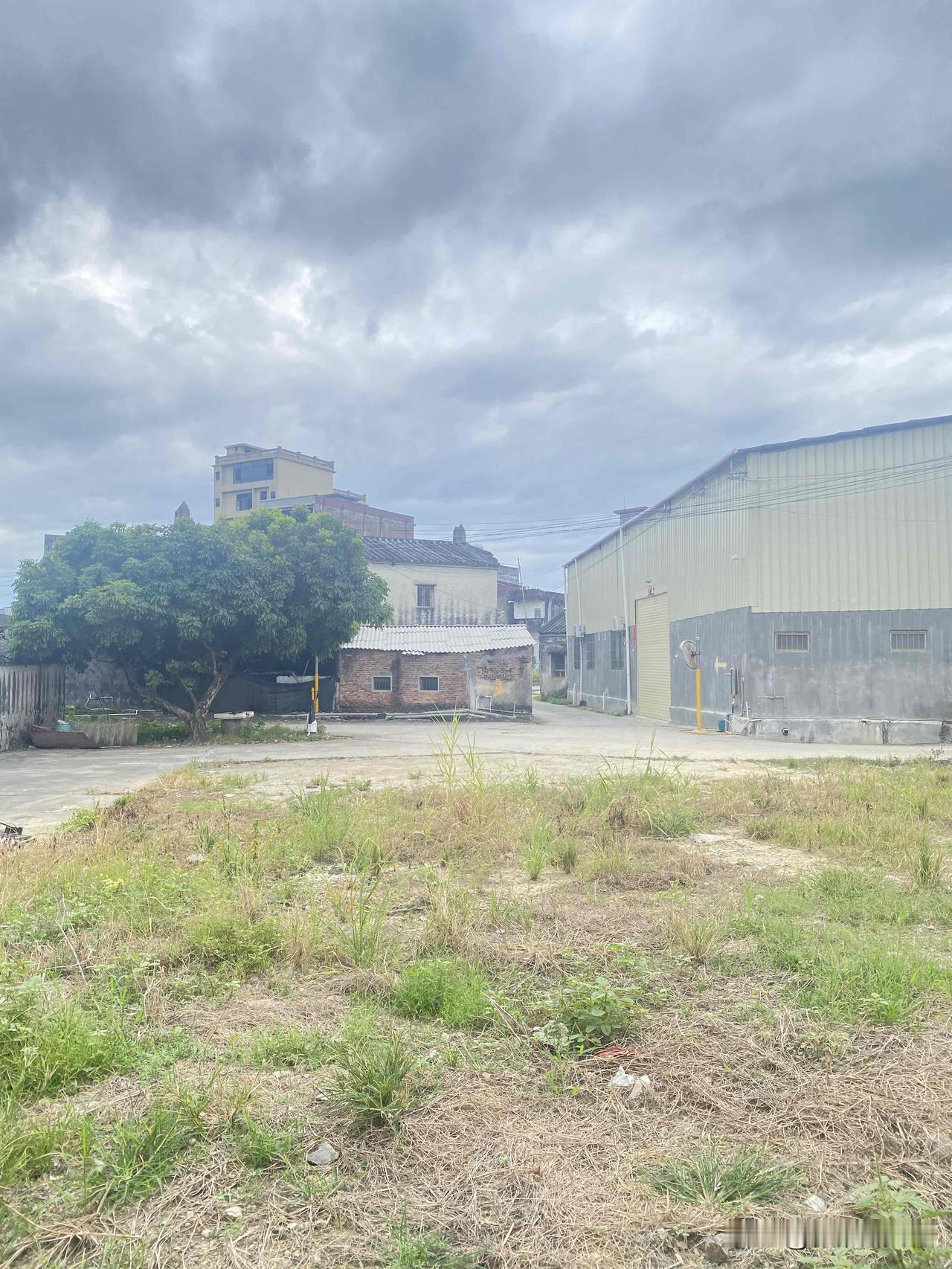 三个月后，我成了这片“荒地”的新租客。工业厂房改成了工作室，邻居是种菜的大爷和做