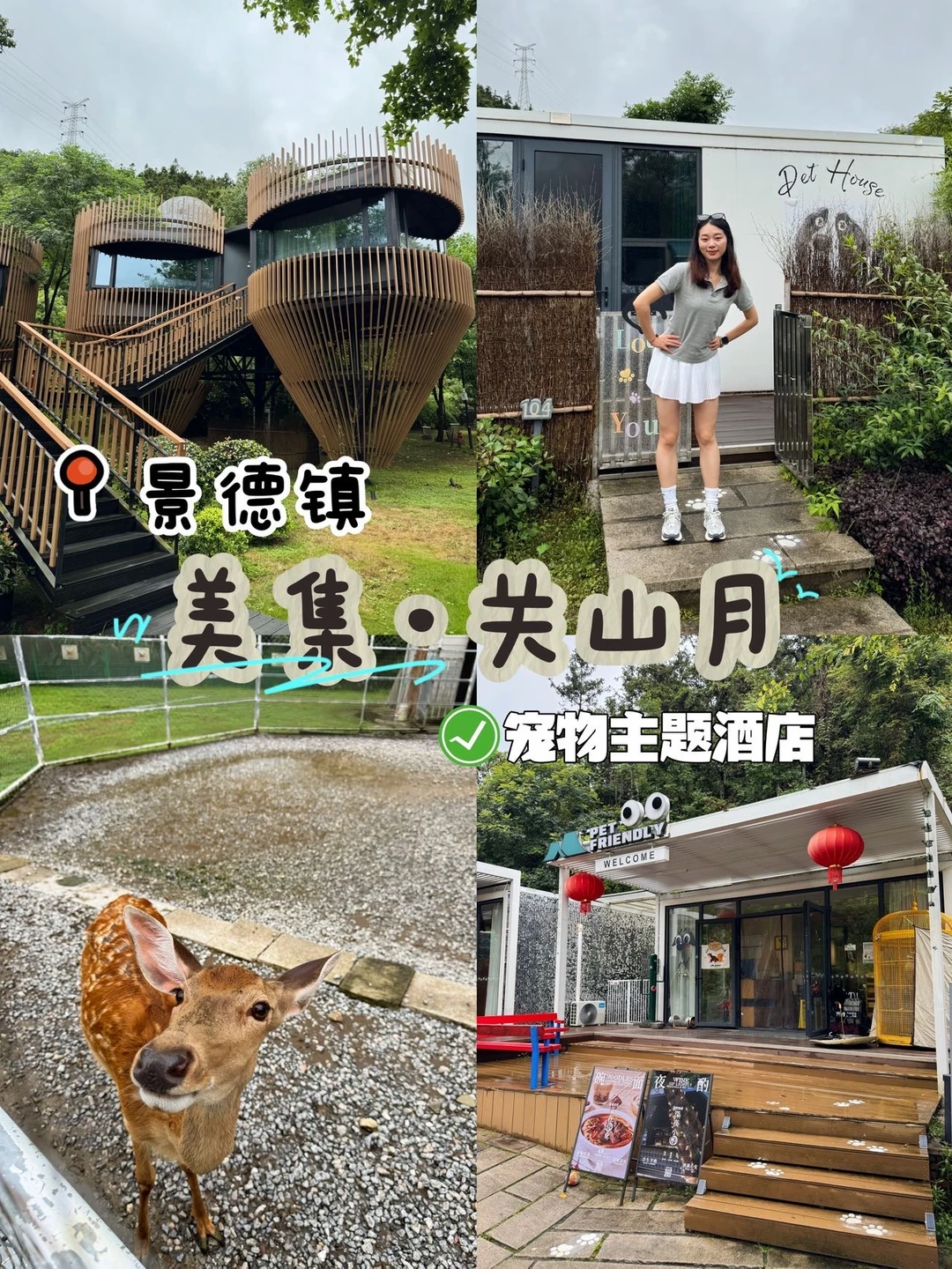 景德镇宠物天堂，美集关山月宠溺假期~
