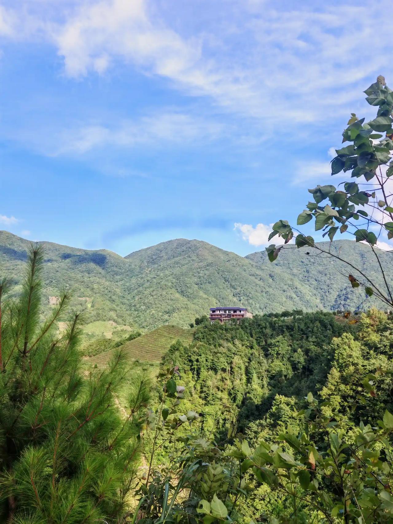 山涧中寻凉，的确妙不可言，满山翠绿，随手一拍都是美景，早晚的气温就在20-25之