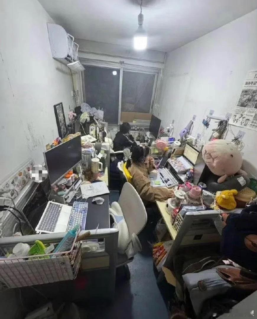 这环境，待久了能不生情？ 