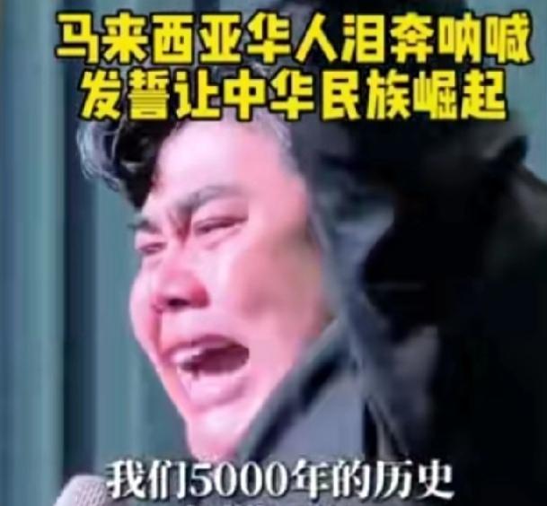 一名马来西亚的华人青年，他演讲时含泪高呼：我们中华民族是热爱和平的民族，有500