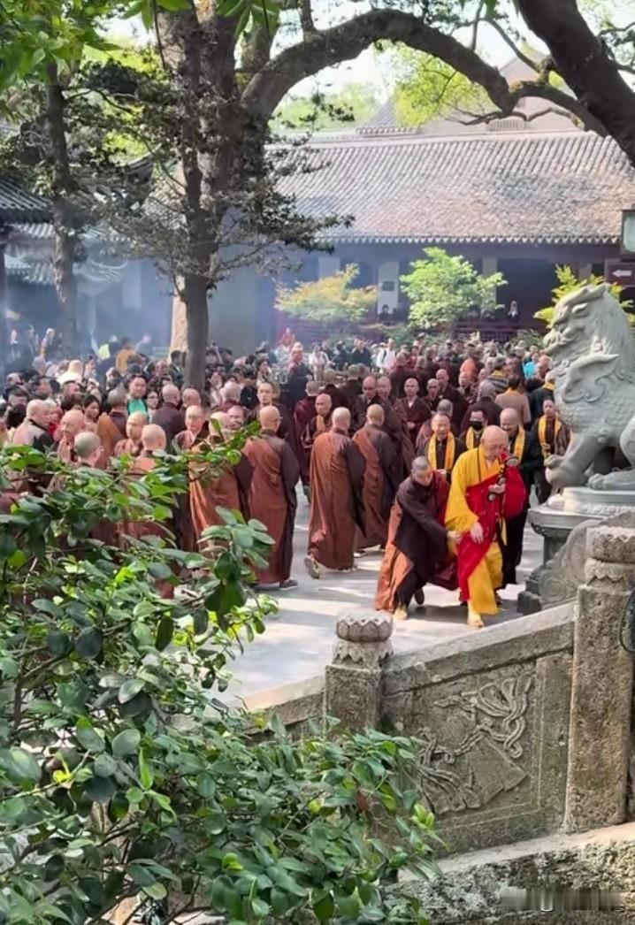 【方丈出屋】普陀山真是个充满神秘与福气的地方。有人说在普陀山能见到方丈出屋，那是