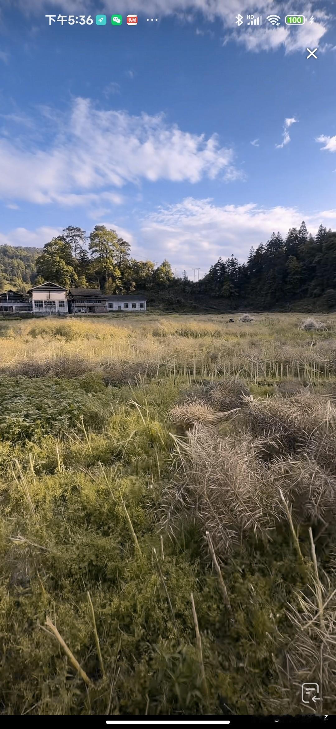 “秋日田野，静谧与美好并存”🍂🌿🏡漫步在秋日的田野，脚下的土地带着微微的凉