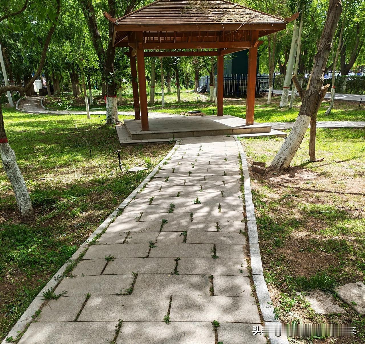 分享城市美景随手拍小路