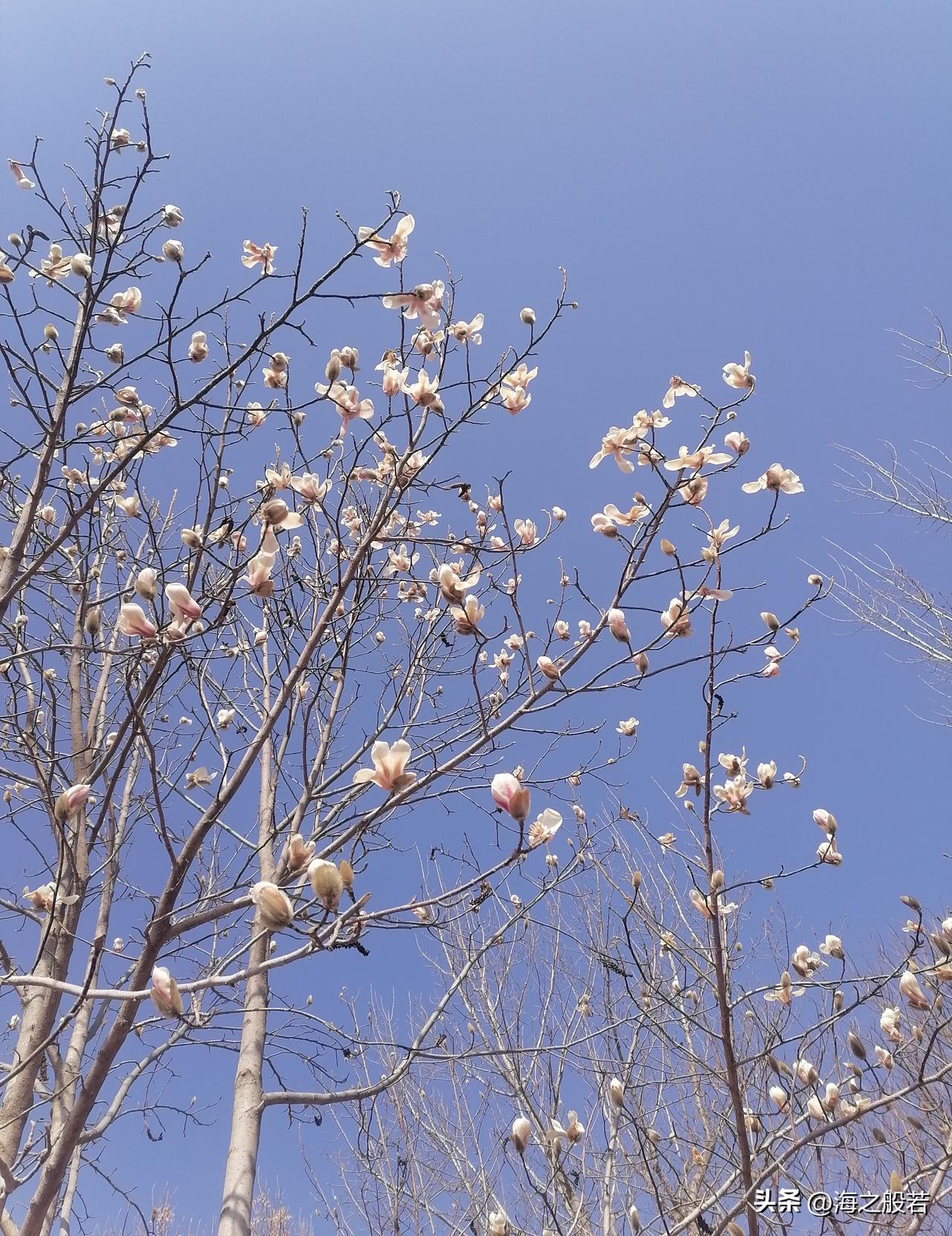 今天是元宵节，忙完工作，下午就可以下班了。微信上元宵节祝福一大堆，还是孩子爸说得