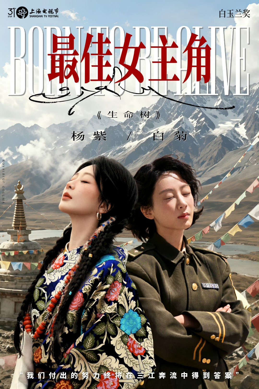 今夜无眠 为杨紫高兴 