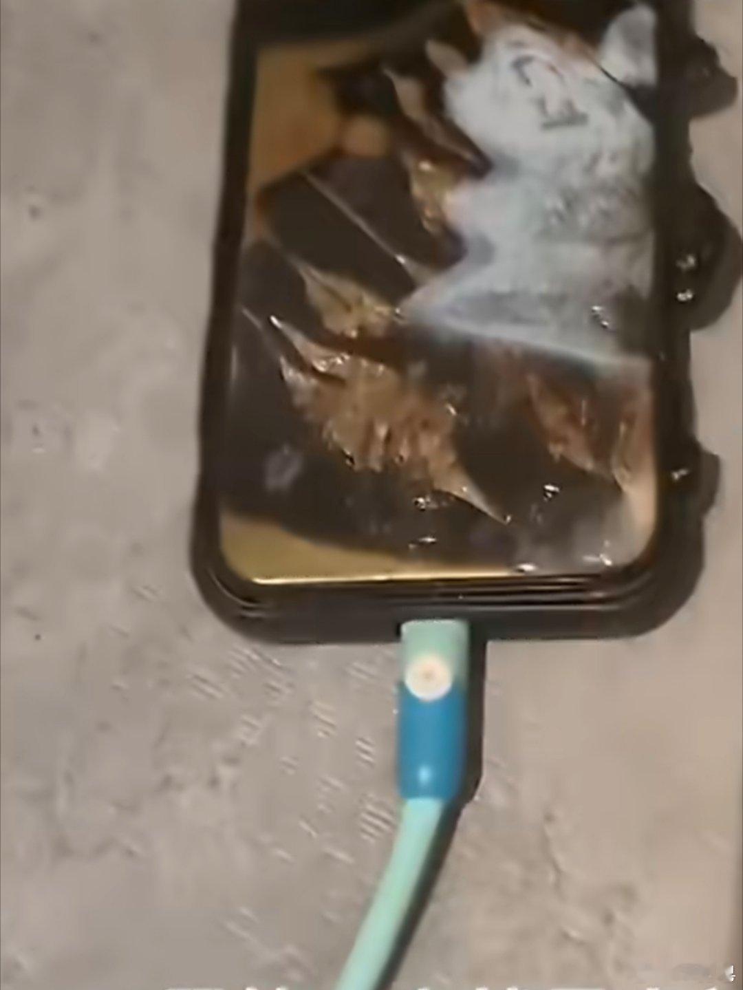 女子睡觉手机枕边充电炸出火箭声 视频里看不清他用的是不是原装或者说符合标准的充电