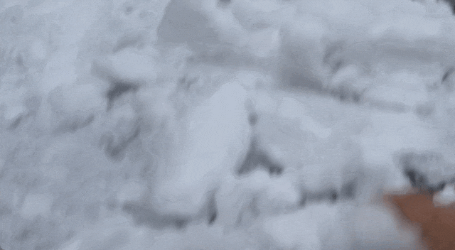 一夜之间，杭州的温度骤降10℃，仿佛瞬间穿越到了冬天的深处。雪花纷纷扬扬，从灰蒙