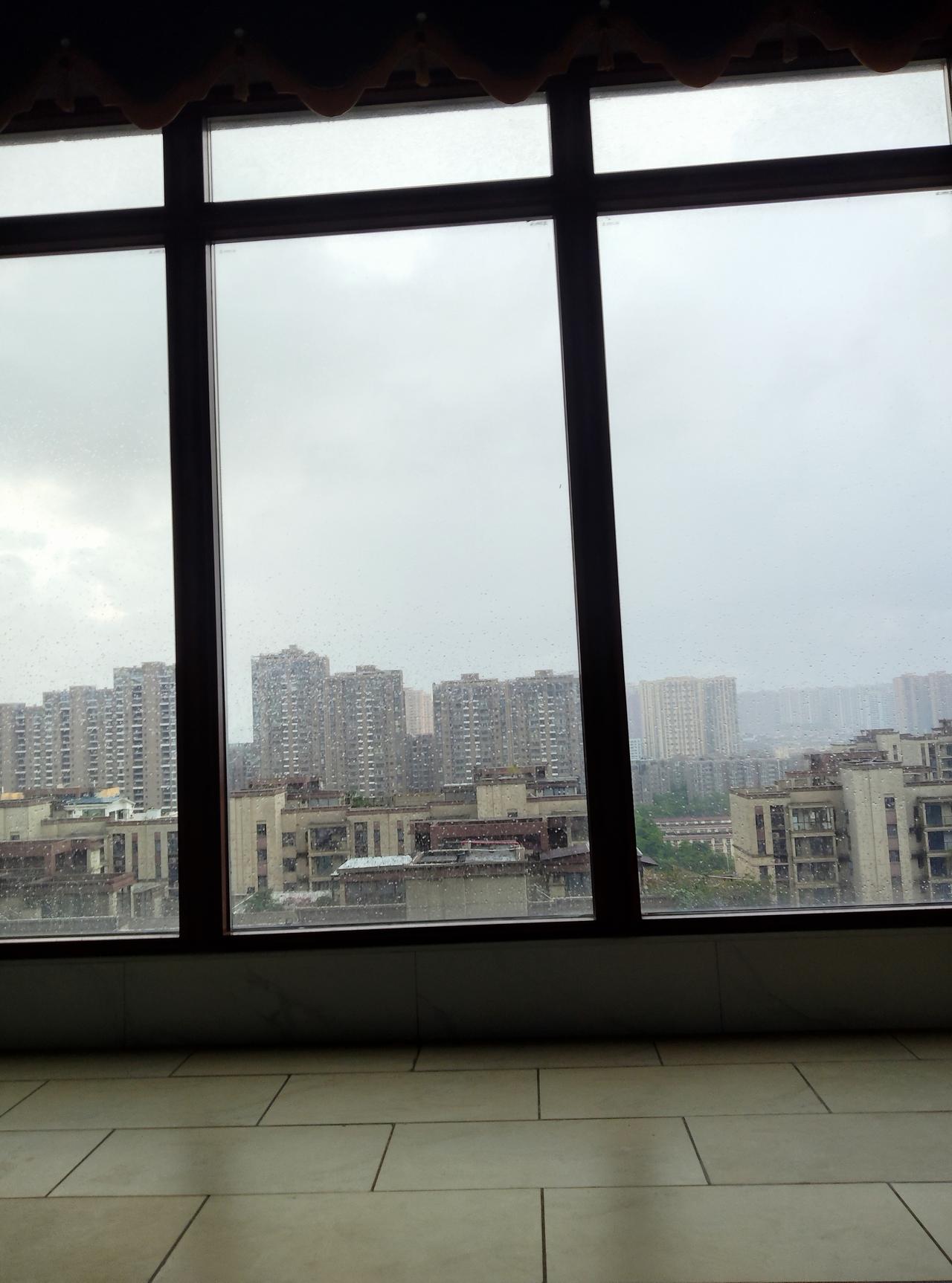 窗外飘着雨，玻璃上蒙着一层雾，连远处的楼都变得朦朦胧胧的。雨天最适合宅在家里，脚