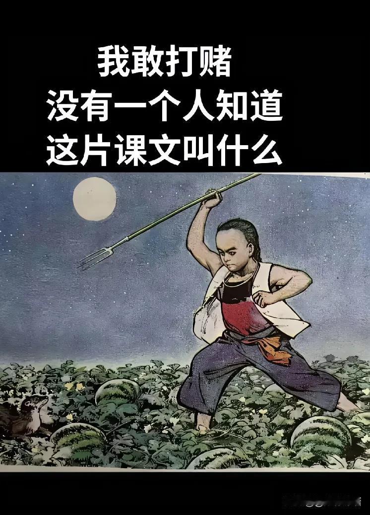 有不有人知道？不管你们知不知道。反正我是不知道这课文叫什么？