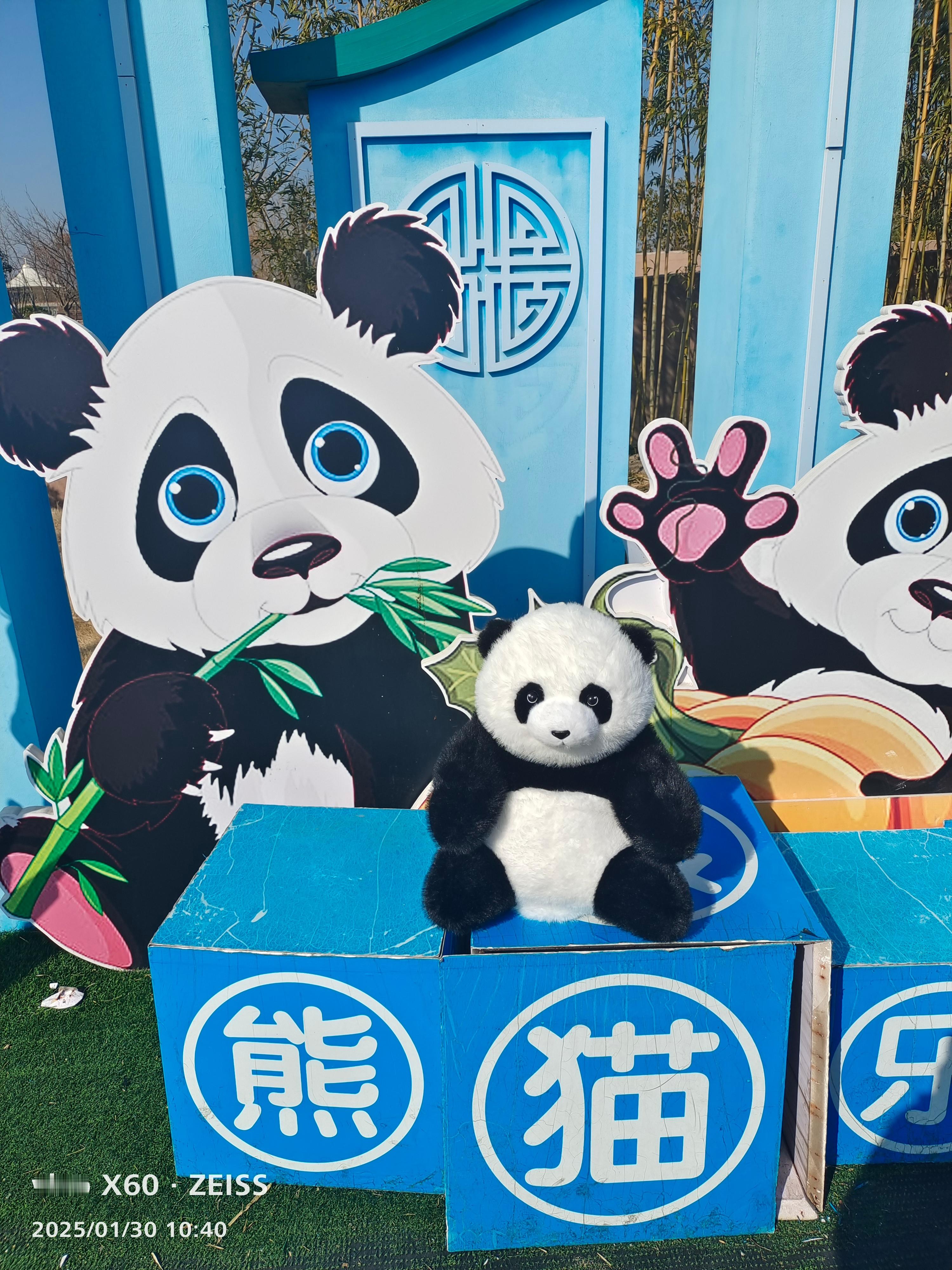 抱走熊猫🐼宝宝[哈哈]  