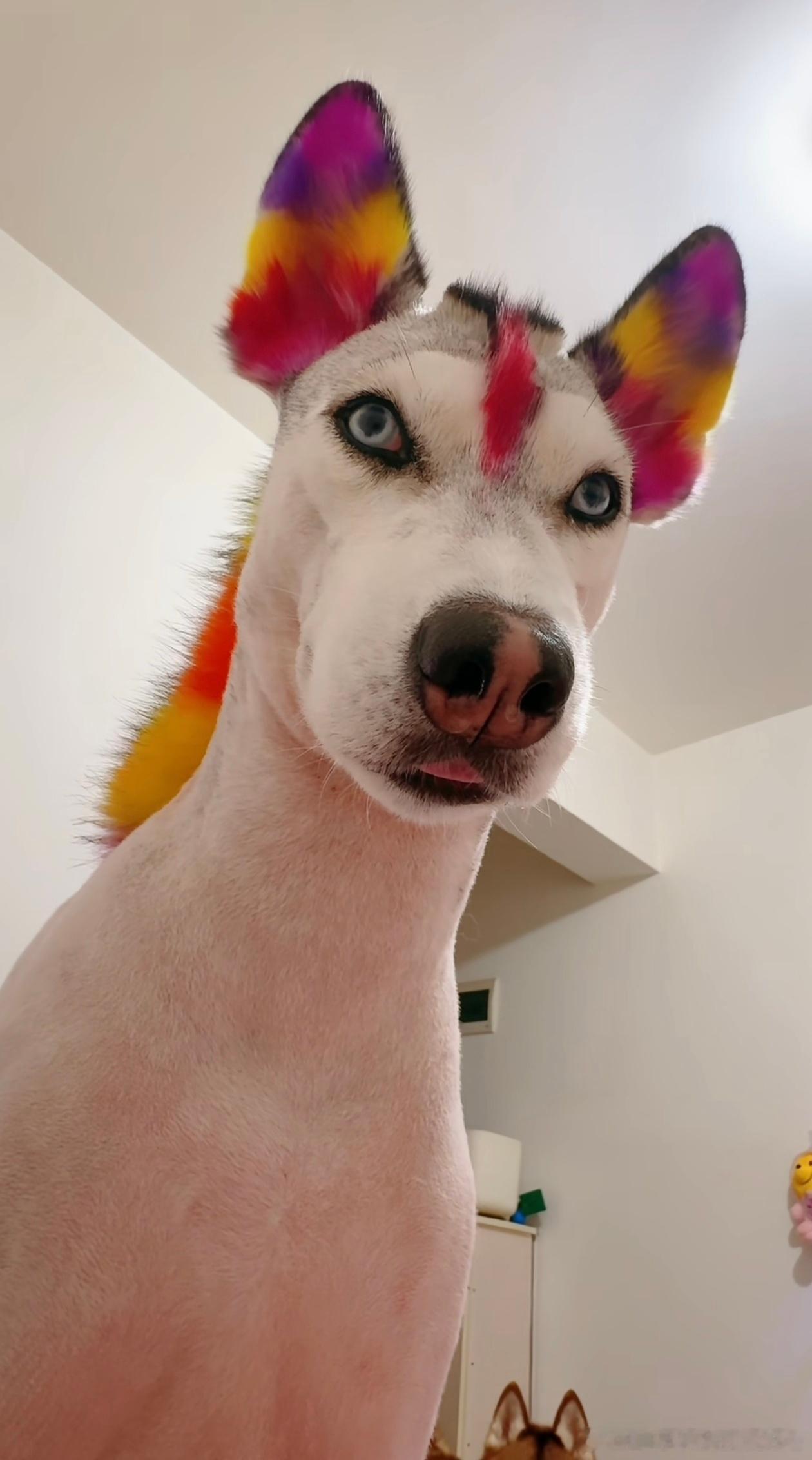 今天媒体签到看到一排排熟悉的ID，唯独就没有我的位置，可能以后也没啥机会了。不过