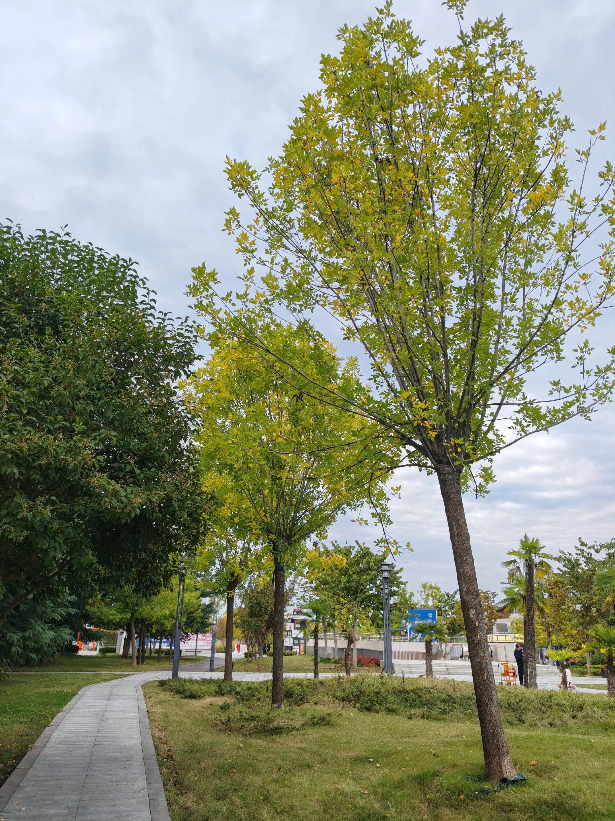 信步隋唐植物园 寻觅惬意秋色🍂。秋天其实很美，色彩斑斓，遇上好天气的...