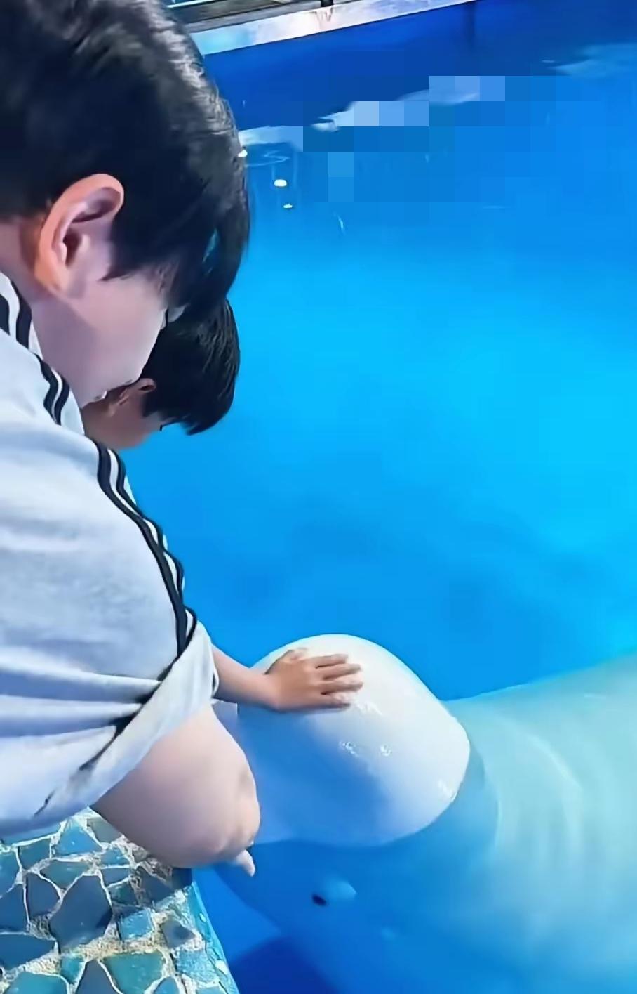 很多人总盯着舆论场上的是是非非，一段水族馆的现场片段，却卸下所有纷争，露出最朴素